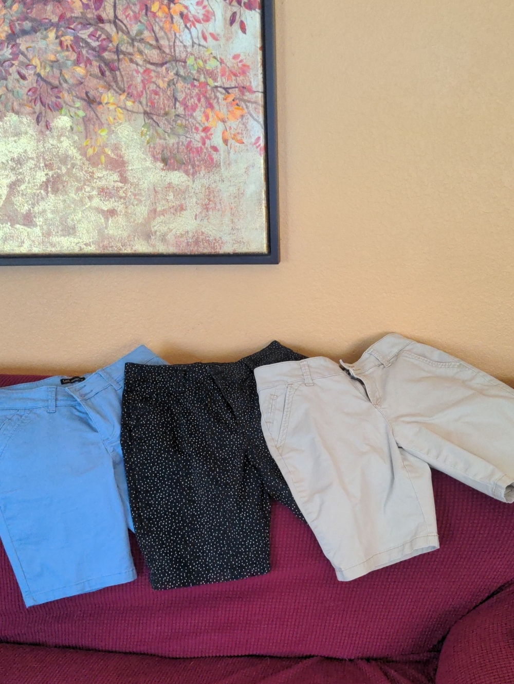 Lee Light Blue Straight Fit Shorts with Subtle Trim